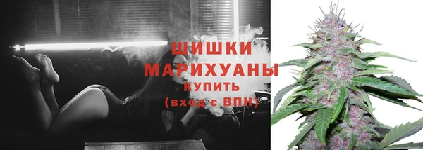 дурь Алзамай