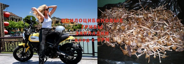 дурь Алзамай