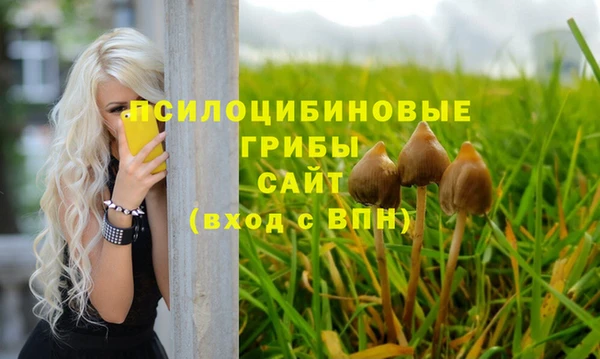 дмт Алексеевка