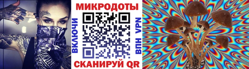 Купить закладки  Великий Устюг  Галлюциногенные грибы прущие грибы 